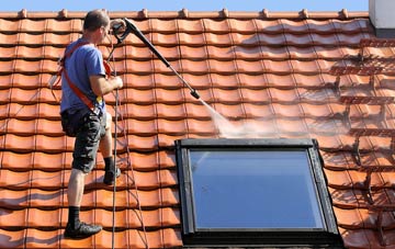 roof cleaning Ashprington, Devon