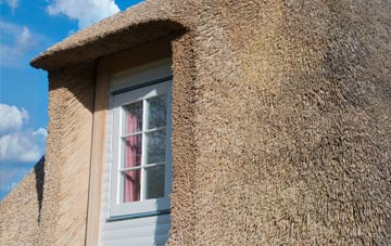 Ashprington thatch roof disadvantages